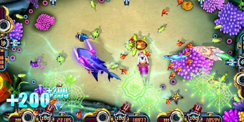 Bắn tiên cá lưu ý quan trọng